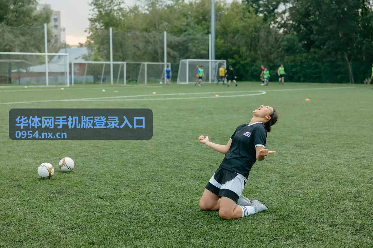 华体网手机版登录入口登录问题排查流程