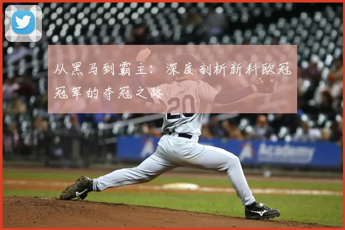 从黑马到霸主：深度剖析新科欧冠冠军的夺冠之路