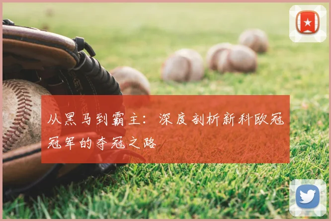 从黑马到霸主：深度剖析新科欧冠冠军的夺冠之路
