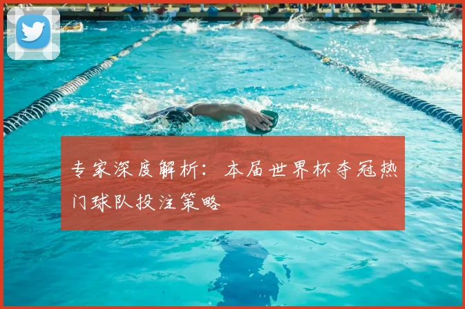 专家深度解析：本届世界杯夺冠热门球队投注策略