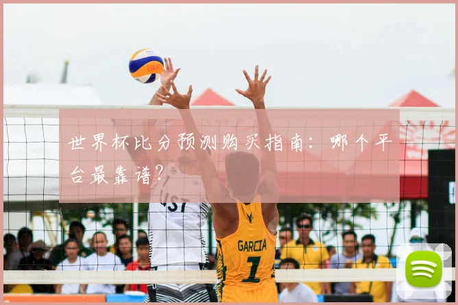 世界杯比分预测购买指南:哪个平台最靠谱?