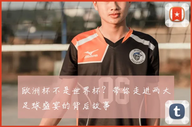 欧洲杯不是世界杯？带你走进两大足球盛宴的背后故事