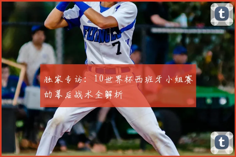 独家专访：10世界杯西班牙小组赛的幕后战术全解析
