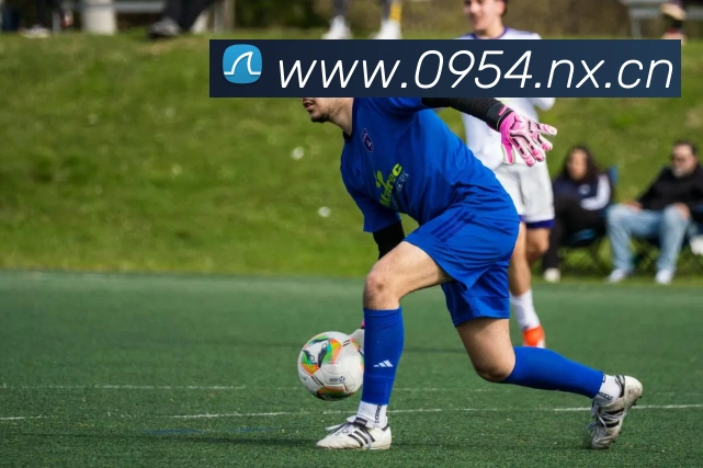 开云网页版app官网平台生态图